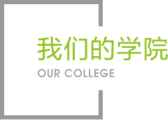 星空娱乐